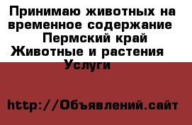 Принимаю животных на временное содержание - Пермский край Животные и растения » Услуги   